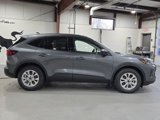 New 2025 Ford Escape Active w/ Cold Weather Package image 4
