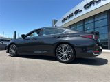 Certified 2024 Lexus ES 300h w/ Premium Package image 4