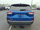 Used 2022 Ford Escape SE w/ SE Sport Appearance Package image 5