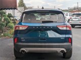 Used 2020 Ford Escape SE Sport image 5
