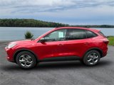 New 2025 Ford Escape ST-Line w/ Tech Pack #1 image 4