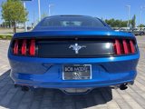 Used 2017 Ford Mustang Coupe w/ Enhanced Security Package image 4