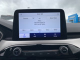Used 2020 Ford Escape SE Sport image 6