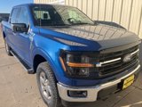 New 2025 Ford F150 XLT w/ Equipment Group 301A Standard image 3