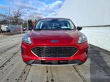 Certified 2022 Ford Escape SE w/ Convenience Package image 2