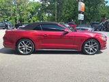 Used 2015 Ford Mustang Premium w/ Equipment Group 201A image 6