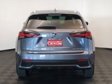 Used 2020 Lexus NX 300h AWD w/ Premium Package image 5
