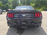 Used 2021 Ford Mustang Premium image 5