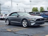 Used 2019 Ford Mustang Premium w/ Equipment Group 201A image 2