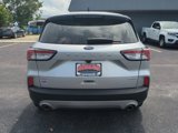 Used 2020 Ford Escape SE image 5