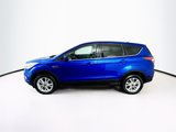 Used 2017 Ford Escape SE w/ SE Cold Weather Package image 4