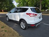 Used 2015 Ford Escape SE w/ Equipment Group 201A image 4