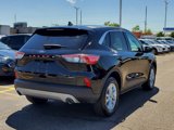 Used 2022 Ford Escape SE w/ Convenience Package image 2