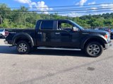 Used 2013 Ford F150 XLT w/ Luxury Equipment Group image 4