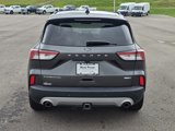 Used 2020 Ford Escape Titanium image 4