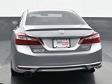 Used 2017 Honda Accord Sport Special Edition image 5