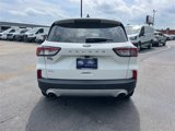 Used 2020 Ford Escape SEL image 4