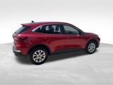 Used 2023 Ford Escape Active w/ Tech Pack #1 image 6