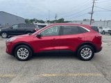 Certified 2022 Ford Escape SE w/ Convenience Package image 4