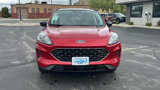 Used 2022 Ford Escape SE w/ SE Sport Appearance Package image 3