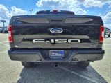 Used 2019 Ford F150 XL w/ Equipment Group 101A Mid image 5