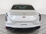 New 2024 Cadillac CT4 Sport w/ Climate Package image 5