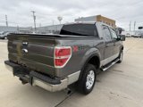 Used 2011 Ford F150 XLT image 5
