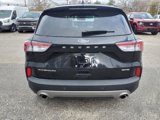 Used 2022 Ford Escape Titanium w/ Titanium Elite Package image 6