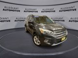 Used 2017 Ford Escape SE w/ Equipment Group 201A image 4
