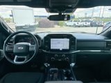 Certified 2023 Ford F150 XLT w/ Equipment Group 302A High image 3
