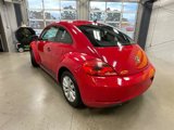 Used 2014 Volkswagen Beetle 2.5 image 3