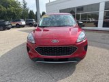 Used 2022 Ford Escape SE image 5