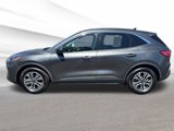 Used 2020 Ford Escape SEL image 2
