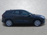 New 2025 Ford Escape Active w/ Tech Pack #1 image 2