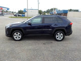 Used 2019 Toyota RAV4 XLE image 2