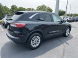 Certified 2022 Ford Escape SE w/ Convenience Package image 5