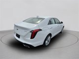 Certified 2021 Cadillac CT4 Premium Luxury image 5
