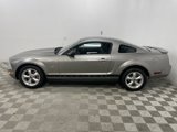 Used 2009 Ford Mustang Coupe image 6