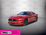 Used 2021 Ford Mustang Coupe w/ Equipment Group 101A image 3