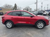 New 2025 Ford Escape Active w/ Cold Weather Package image 6