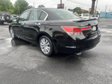 Used 2011 Honda Accord EX-L image 3