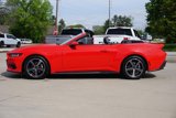 Used 2024 Ford Mustang Premium image 6