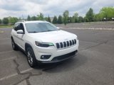 Used 2019 Jeep Cherokee Latitude Plus w/ Comfort/Convenience Group image 2