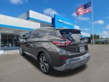 Used 2017 Nissan Murano Platinum w/ Platinum Technology Package image 6