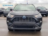 Used 2019 Toyota RAV4 XLE image 2