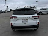 Certified 2020 Ford Escape SE image 4