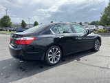 Used 2015 Honda Accord Sport image 3