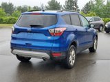 Used 2017 Ford Escape SE w/ Equipment Group 201A image 2