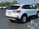 Used 2020 Ford Escape SE image 3