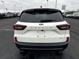 New 2025 Ford Escape ST-Line w/ Tech Pack #1 image 4